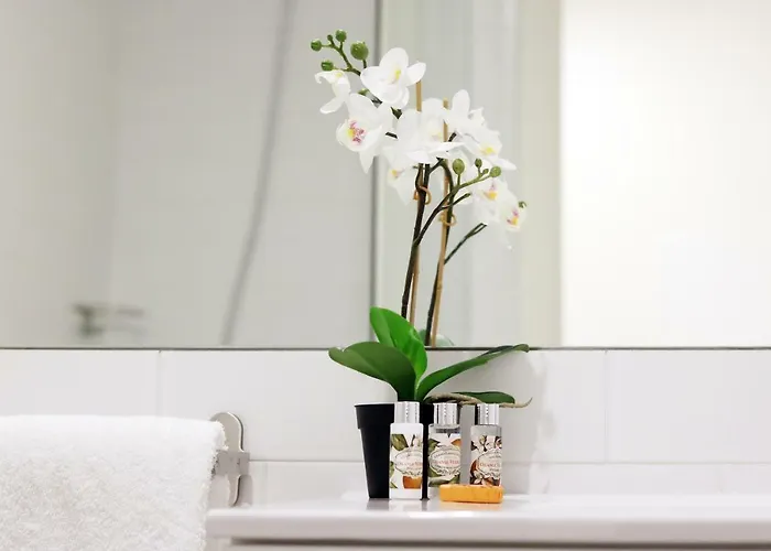 Hm - Carlos Alberto 2 Oporto